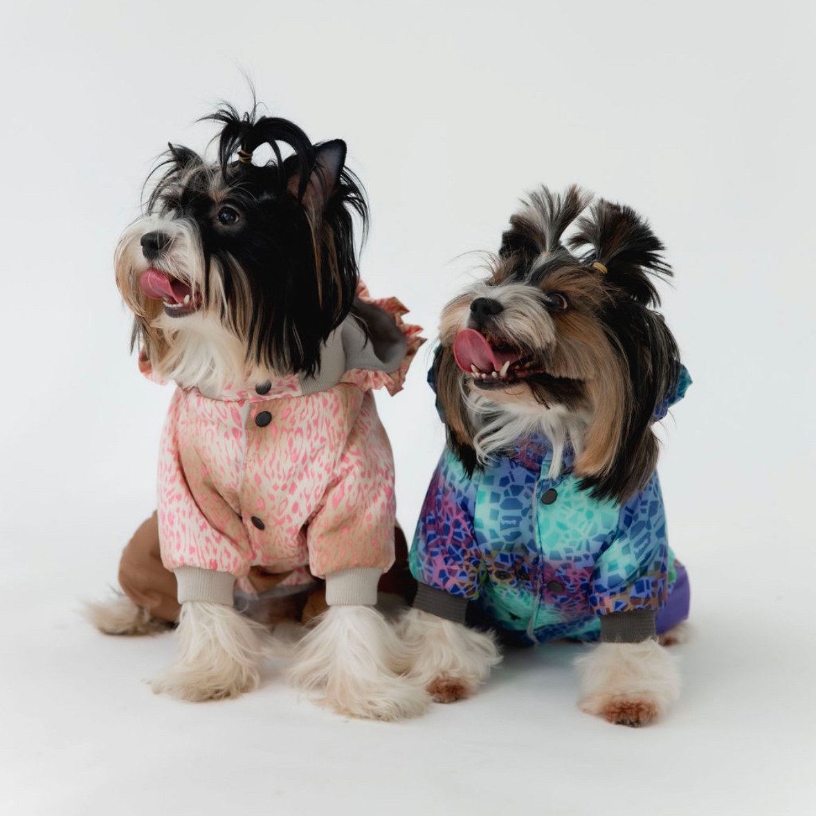 IMG_7462 Лежаки з бортами