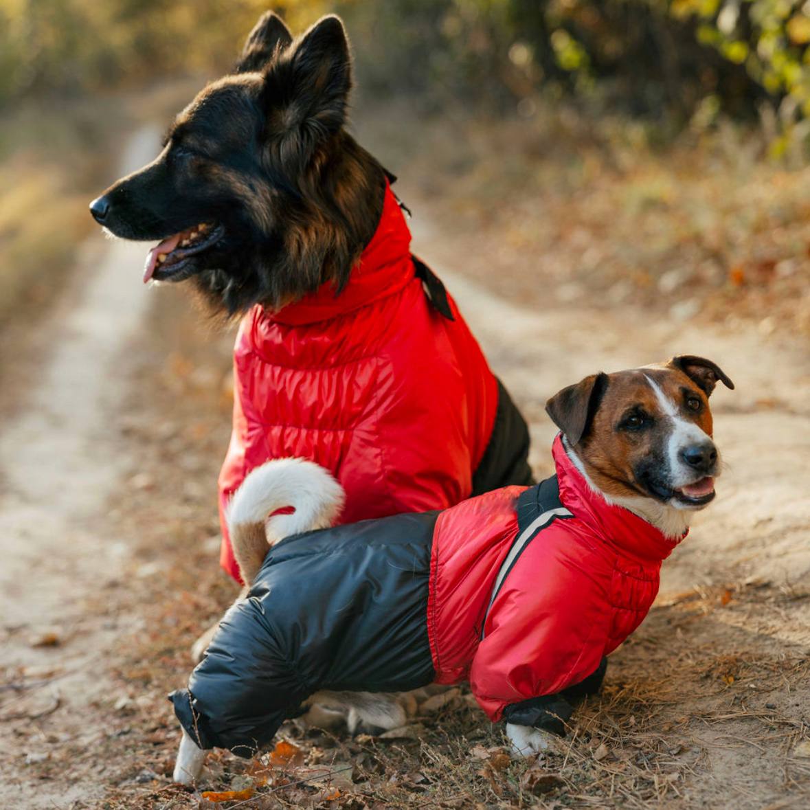 photo_2024-12-22_11-21-49